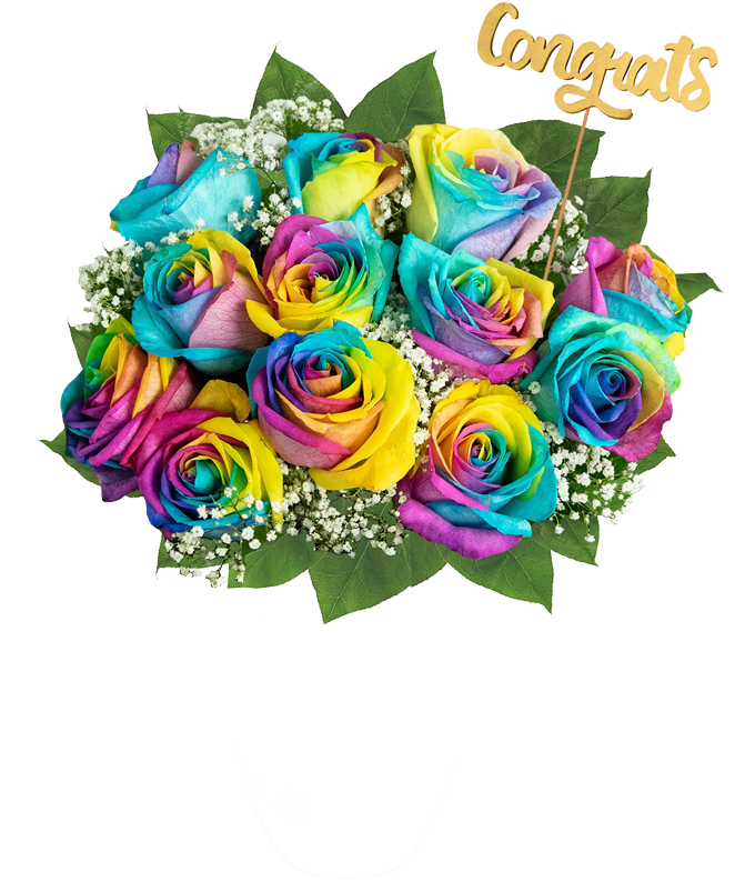 One Dozen Rainbow Roses