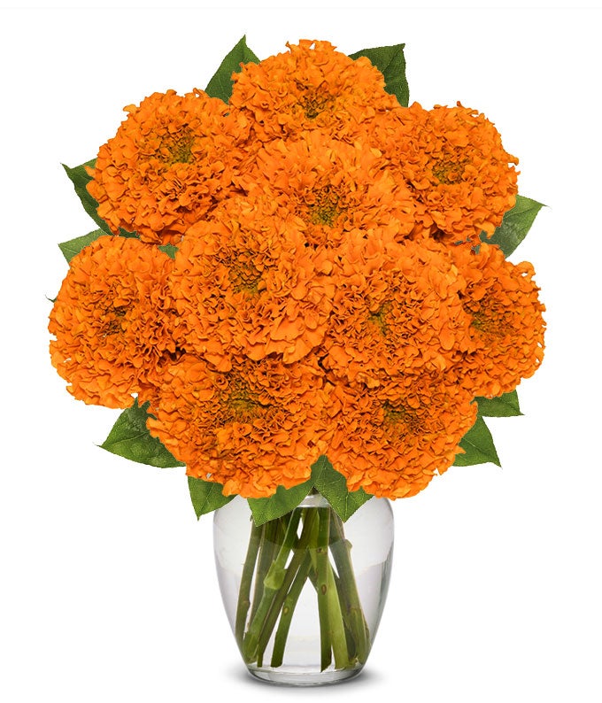Magnificent Fall Marigolds at From You Flowers