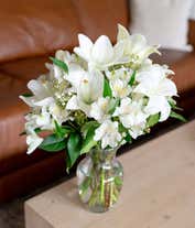 Alternative image 1 for White lilies, white alstroemeria and white wax flowers
