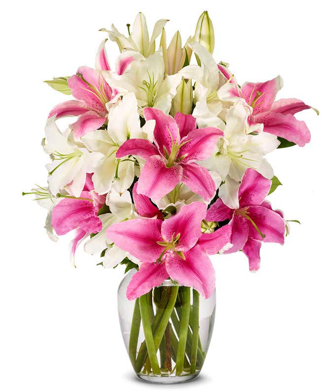 A bouquet of 24 red and pink roses arranged in a glass vase is displayed beside a bottle of Hill & Harbor Sparkling Wine and a 1 pound box of assorted chocolates.