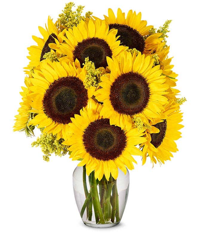 Stunning Sunflowers - Premium
