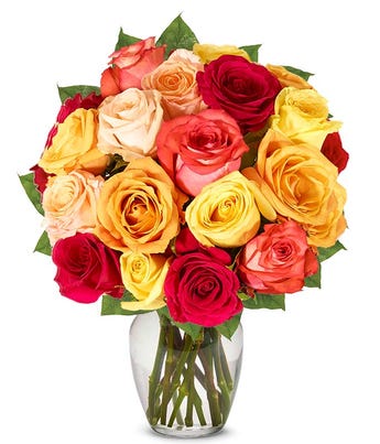 One and a Half Dozen Fall Roses at From You Flowers