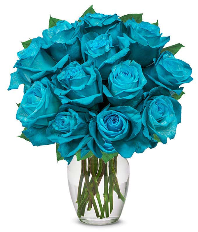 One Dozen Teal Roses in Clear Glass Vase