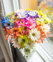 Alternative image 1 for Brilliant Blooms Bouquet