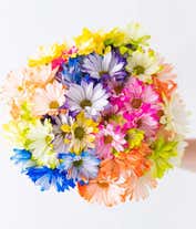 Alternative image 2 for Brilliant Blooms Bouquet