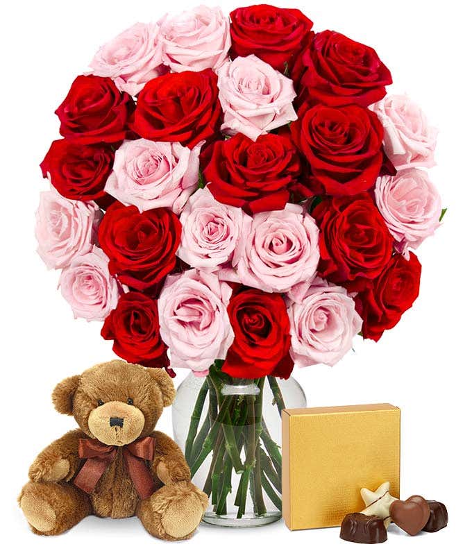 Two Dozen Red and Pink Roses + Godiva + Bear