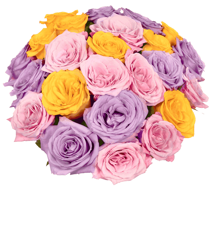 Two Dozen Pastel Roses at From You Flowers