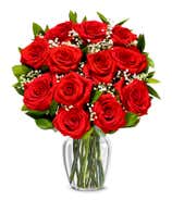 One Dozen Red Roses  