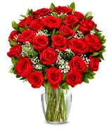 Two Dozen Long Stemmed Red Roses