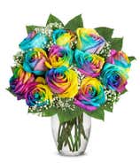 Two Dozen Rainbow Roses with Birthday Berries at From You Flowers