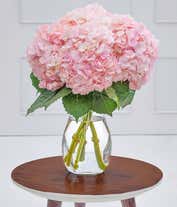 Pink and Cream Dried Hydrangea Bouquet – Hydrangeas Blue