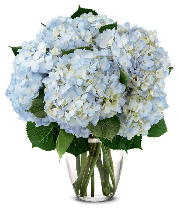 Blue Hydrangea Bouquet at From You Flowers