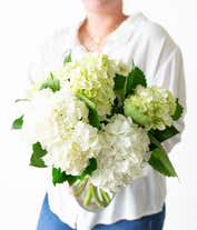 Alternative image 1 for White & Mini Green Hydrangea Bouquet