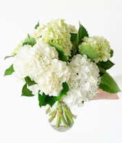 Alternative image 2 for White & Mini Green Hydrangea Bouquet