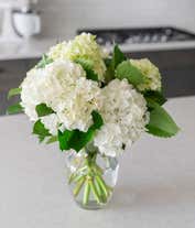 Alternative image 3 for White & Mini Green Hydrangea Bouquet