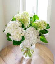 Alternative image 4 for White & Mini Green Hydrangea Bouquet