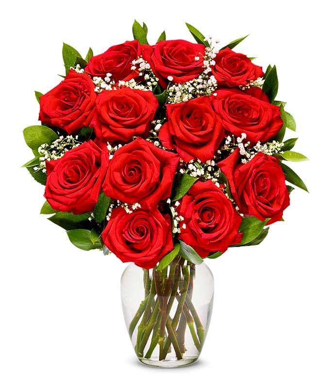 One Dozen Premium Long Stem Red Roses