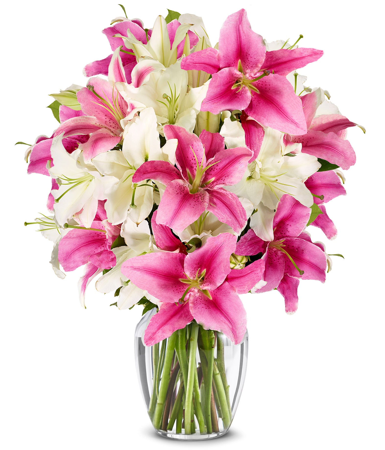 Stunning Pink and White Lilies Premium