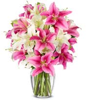 Premium Pink Lilies and White Lilies in Glass Vase