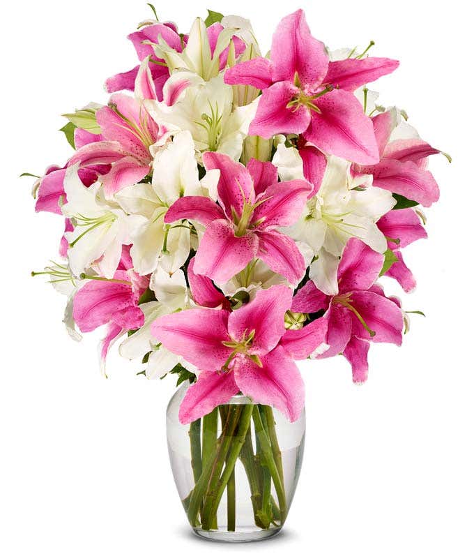 Premium Pink Lilies and White Lilies
