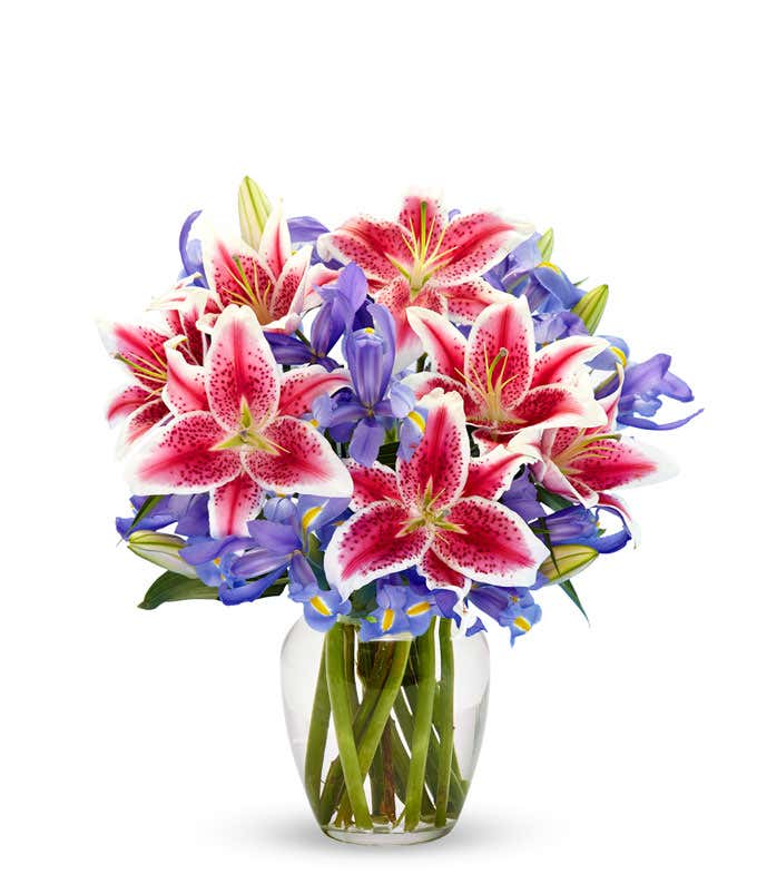 A bouquet of Iris & Stargazer Lilies in a Glass Vase