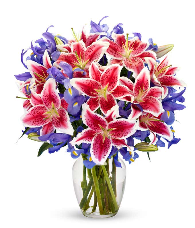 Premium Starlit Iris Bouquet