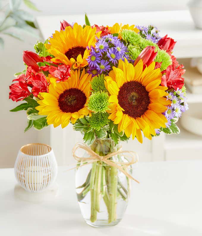 Sunflower Garden