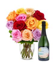 One Dozen Rainbow Roses with Sparkling Rose 