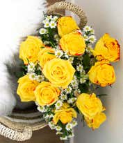 Alternative image 1 for One Dozen Bi-Colored Roses