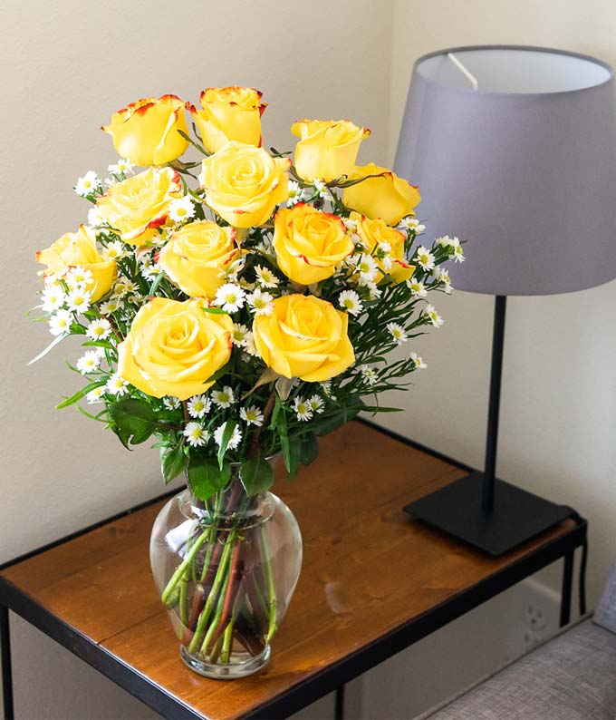 One Dozen Festive Roses at From You Flowers