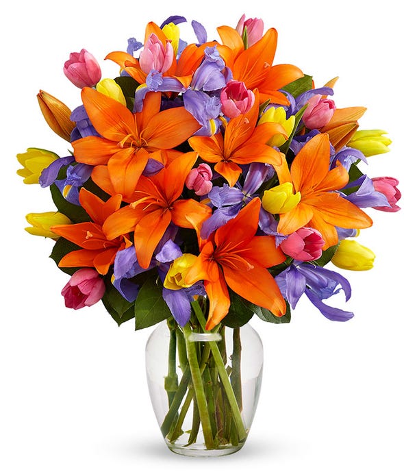 Deluxe Kaleidoscope Blooms Bouquet at From You Flowers