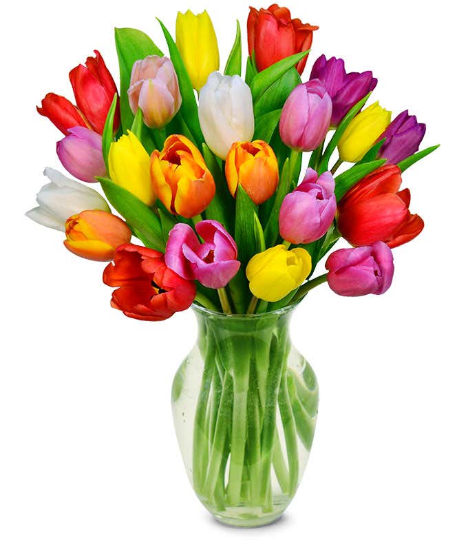 A clear glass vase filled with a vibrant bouquet of multicolored tulips, including red, yellow, orange, purple, pink, and white blooms, with fresh green leaves.