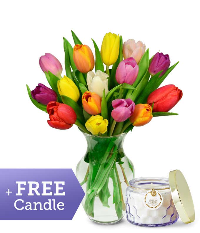 A clear glass vase filled with a cheerful bouquet of multicolor tulips in red, yellow, pink, orange, purple, and white, displayed alongside a dahlia and orchid scented candle in a clear glass jar.