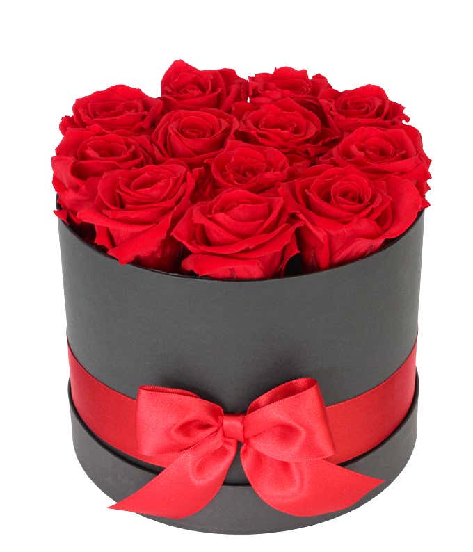 Luxury Dozen Preserved Red Roses