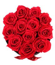 Alternative image 1 for Arrangement of vibrant red roses in a round black box, adorned with a red satin ribbon tied into a bow.