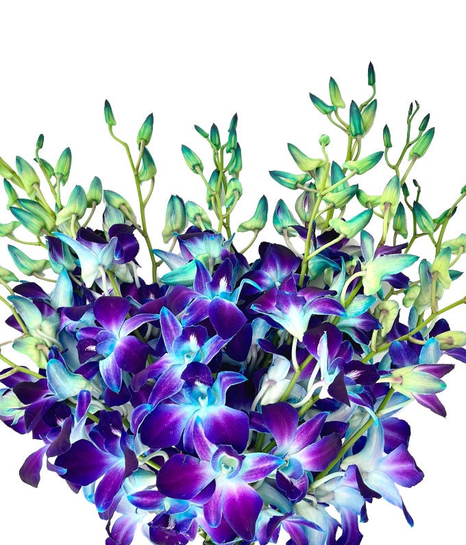 NATAL DESIGN ROMANTIC FLOWER RIM DISH