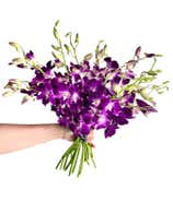 Purple Dendrobium Orchids at From You Flowers