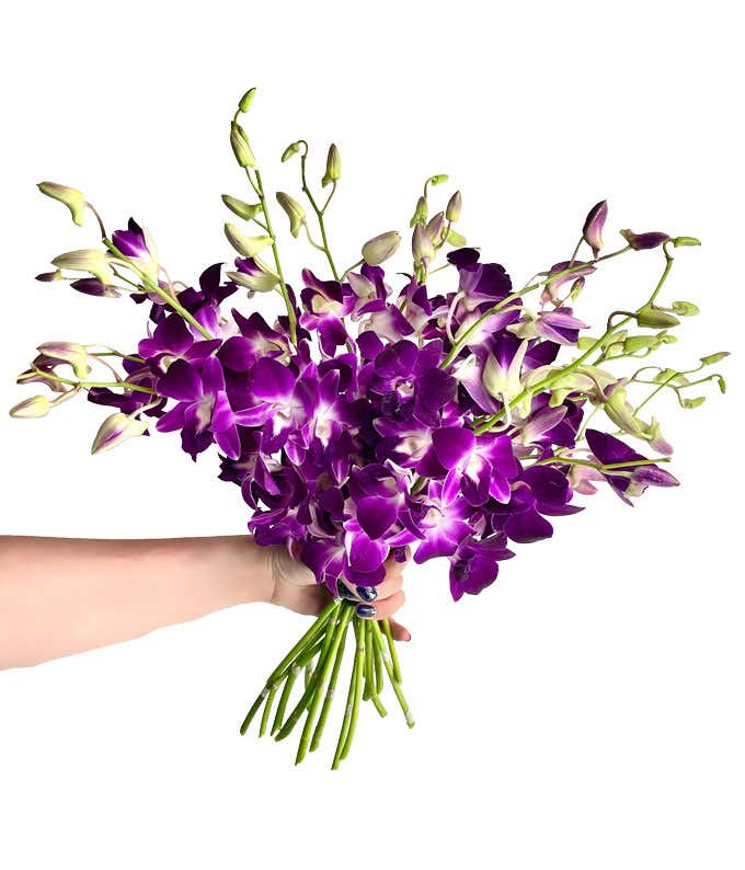 Purple Dendrobium Orchids - Deluxe