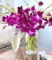 Alternative image 3 for Purple Dendrobium Orchids - Deluxe