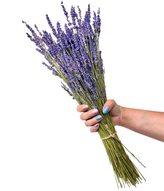 Lavender Fields Bouquet – For Love Of Pampas