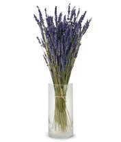 Lavender Fields Bouquet