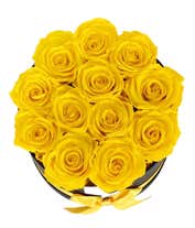 Alternative image 1 for Luxury Dozen Preserved Yellow Roses