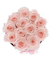 Alternative image 1 for Luxury Dozen Preserved Champagne Pink Roses