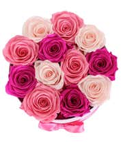 Alternative image 1 for Luxury Dozen Preserved Sweetheart Roses
