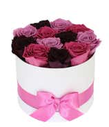Luxury Dozen Preserved Purple Rainbow Roses