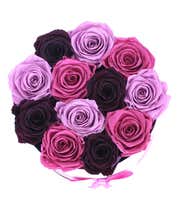 Alternative image 1 for Luxury Dozen Preserved Purple Rainbow Roses