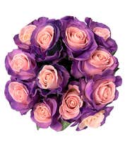 Alternative image 1 for One Dozen Blushing Lavender Roses