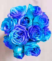 Alternative image 1 for One Dozen Ocean Blue Roses