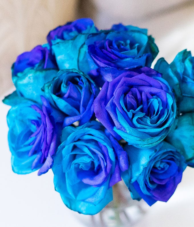 One Dozen Ocean Blue Roses at From You Flowers