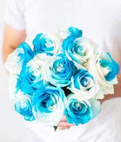 Alternative image 1 for One Dozen Sea Foam Roses